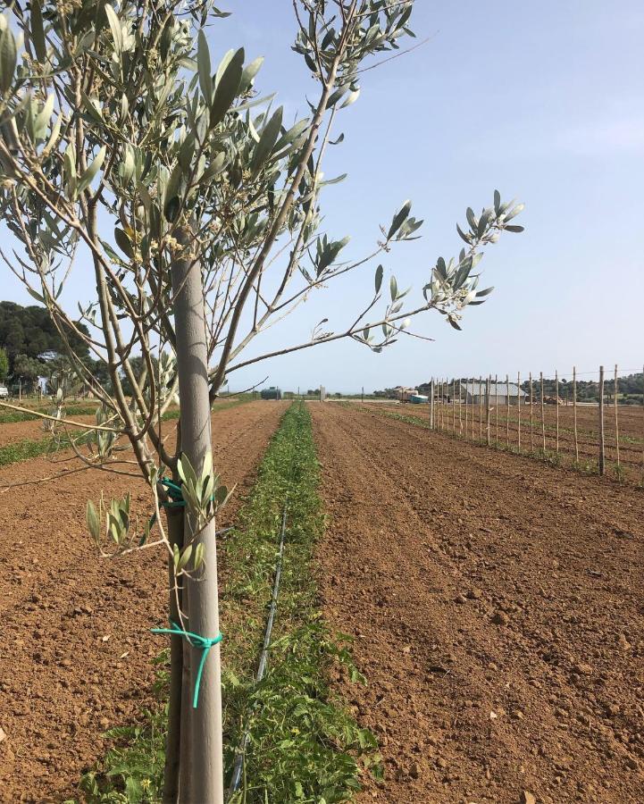 Cirò Marina Agriturismo Donna Germana מראה חיצוני תמונה